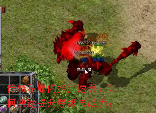 传奇私服内挂加速器:如何快速提升等级与战力? 传奇私服内挂加速器:如何快速提升等级与战力?