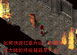 如何快速狂暴升级?称霸玛法大陆的终极秘籍是什么? 如何快速狂暴升级?称霸玛法大陆的终极秘籍是什么?