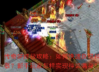 传奇SF终极攻略:如何快速获取神器?新手玩家怎样实现神装满身? 传奇SF终极攻略:如何快速获取神器?新手玩家怎样实现神装满身?
