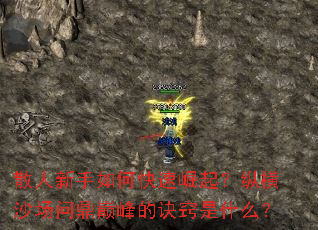散人新手如何快速崛起?纵横沙场问鼎巅峰的诀窍是什么? 散人新手如何快速崛起?纵横沙场问鼎巅峰的诀窍是什么?
