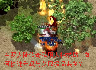 斗罗大陆传奇私服大神求助:如何快速升级与获取极品装备? 斗罗大陆传奇私服大神求助:如何快速升级与获取极品装备?
