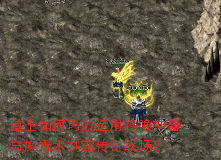道士如何巧妙运用召唤神兽与施毒术制霸传奇战场? 道士如何巧妙运用召唤神兽与施毒术制霸传奇战场?