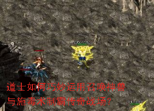 道士如何巧妙运用召唤神兽与施毒术制霸传奇战场? 道士如何巧妙运用召唤神兽与施毒术制霸传奇战场?