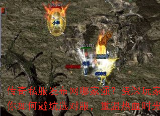 ����˽���������ļ�ǿ��������ҽ�����αܿ�ѡ�Է���������Ѫʱ��