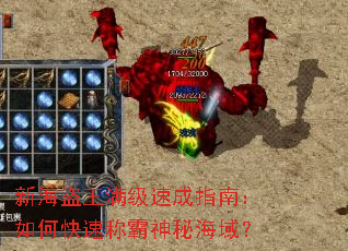 新海盗王满级速成指南:如何快速称霸神秘海域? 新海盗王满级速成指南:如何快速称霸神秘海域?