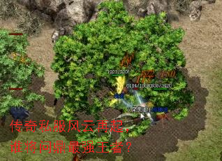 传奇私服风云再起,谁将问鼎最强王者? 传奇私服风云再起,谁将问鼎最强王者?