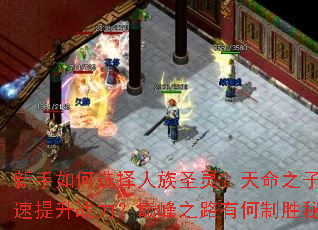 新手如何选择人族圣灵?天命之子如何快速提升战力?巅峰之路有何制胜秘籍? 新手如何选择人族圣灵?天命之子如何快速提升战力?巅峰之路有何制胜秘籍?