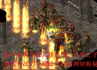 新手如何选择人族圣灵?天命之子如何快速提升战力?巅峰之路有何制胜秘籍? 新手如何选择人族圣灵?天命之子如何快速提升战力?巅峰之路有何制胜秘籍?