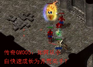 传奇GM005:如何从小白快速成长为开荒高手? 传奇GM005:如何从小白快速成长为开荒高手?