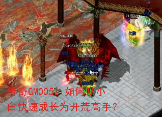 传奇GM005:如何从小白快速成长为开荒高手? 传奇GM005:如何从小白快速成长为开荒高手?