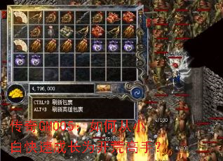 传奇GM005:如何从小白快速成长为开荒高手? 传奇GM005:如何从小白快速成长为开荒高手?