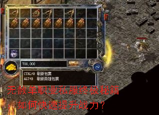 无赦单职业私服终极秘籍:如何快速提升战力? 无赦单职业私服终极秘籍:如何快速提升战力?