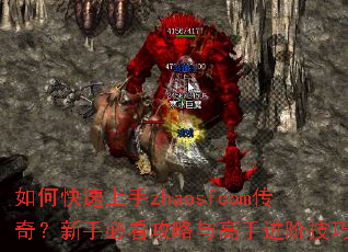 如何快速上手zhaosfcom传奇?新手必看攻略与高手进阶技巧 如何快速上手zhaosfcom传奇?新手必看攻略与高手进阶技巧