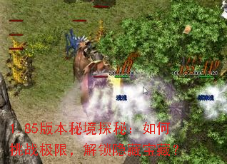 1.85版本秘境探秘:如何挑战极限,解锁隐藏宝藏? 1.85版本秘境探秘:如何挑战极限,解锁隐藏宝藏?