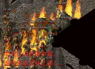 倚天江湖群雄争霸,谁将问鼎武林之巅? 倚天江湖群雄争霸,谁将问鼎武林之巅?