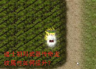 道士祖玛武器传奇龙纹属性如何提升? 道士祖玛武器传奇龙纹属性如何提升?
