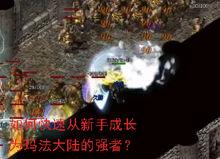 如何快速从新手成长为玛法大陆的强者? 如何快速从新手成长为玛法大陆的强者?