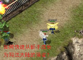 如何快速从新手成长为玛法大陆的强者? 如何快速从新手成长为玛法大陆的强者?
