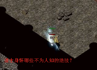 道士身怀哪些不为人知的绝技? 道士身怀哪些不为人知的绝技?