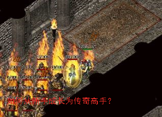如何从新手成长为传奇高手? 如何从新手成长为传奇高手?