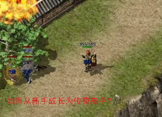 如何从新手成长为传奇高手? 如何从新手成长为传奇高手?