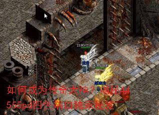 如何成为传奇大神?揭秘44555pd四色端口独家秘笈 如何成为传奇大神?揭秘44555pd四色端口独家秘笈