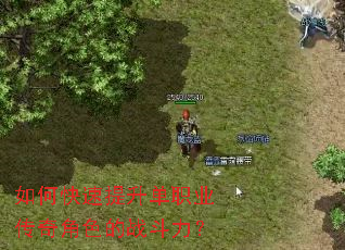 如何快速提升单职业传奇角色的战斗力? 如何快速提升单职业传奇角色的战斗力?