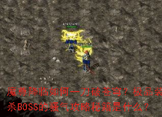 ħ�������һ���Ʋ�񷣿��Ʒװ����ɱBOSS��ɧ�������ؼ���ʲô��