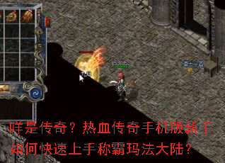 ���Ǵ��棿��Ѫ�����ֻ���������ο������ֳư��귨��½��