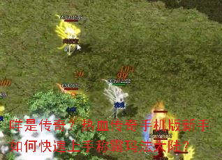 ���Ǵ��棿��Ѫ�����ֻ���������ο������ֳư��귨��½��