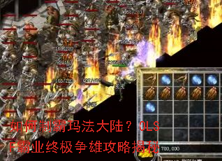����ư��귨��½��OLSF��ҵ�ռ����۹��Խ���