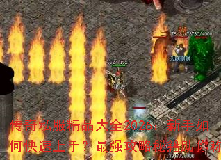 传奇私服精品大全2026:新手如何快速上手?最强攻略秘籍助你称霸 传奇私服精品大全2026:新手如何快速上手?最强攻略秘籍助你称霸