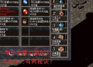 传奇全服公敌BOSS击杀它有何秘诀? 传奇全服公敌BOSS击杀它有何秘诀?