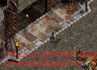如何在天山之巅傲视群雄?征战无极传奇全8的制胜秘籍是什么? 如何在天山之巅傲视群雄?征战无极传奇全8的制胜秘籍是什么?