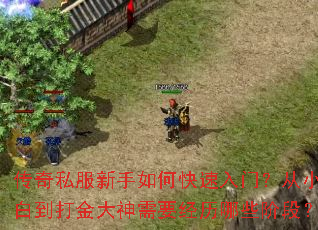 传奇私服新手如何快速入门?从小白到打金大神需要经历哪些阶段? 传奇私服新手如何快速入门?从小白到打金大神需要经历哪些阶段?