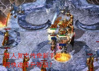 ɢ�˸��Ŵ���������ο��������ȼ���