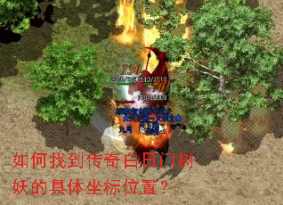 ����ҵ���������������ľ�������λ�ã�