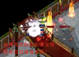 如何高效探索铜锣湾地图并获取稀有资源? 如何高效探索铜锣湾地图并获取稀有资源?