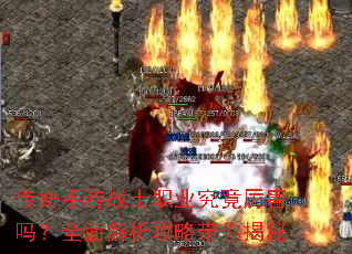 ��������սʿְҵ����������ȫ��������Դ������