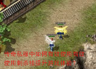 传奇私服中如何有效使用有效使用刺杀挂提升游戏体验? 传奇私服中如何有效使用有效使用刺杀挂提升游戏体验?