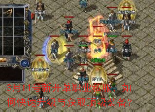 3月11号新开单职业私服,如何快速升级与获取顶级装备? 3月11号新开单职业私服,如何快速升级与获取顶级装备?