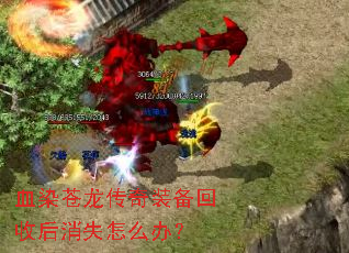 ѪȾ��������װ�����պ���ʧ��ô�죿