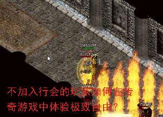 �������л���������ڴ�����Ϸ�����鼫�����ɣ�