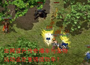 如何提升传奇爆率与宠物活动鉴定重铸成功率? 如何提升传奇爆率与宠物活动鉴定重铸成功率?