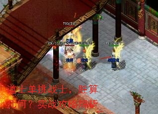 道士单挑战士,胜算几何?实战攻略解析 道士单挑战士,胜算几何?实战攻略解析