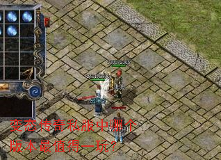 ��̬����˽�����ĸ��汾��ֵ��һ�棿