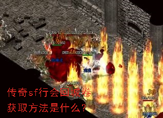 ����sf�л�سǾ���ȡ������ʲô��