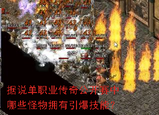 ��˵��ְҵ���湫��������Щ����ӵ���������ܣ�