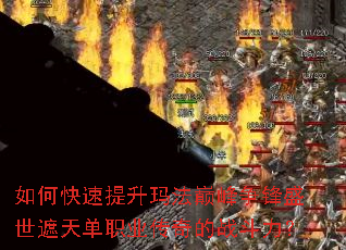��ο��������귨�۷�����ʢ�����쵥ְҵ�����ս������