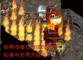 如何收服红棉成为传奇私服中的得力战将? 如何收服红棉成为传奇私服中的得力战将?